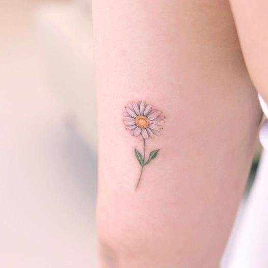 Một nhánh hoa cúc nhỏ trên cánh tay
