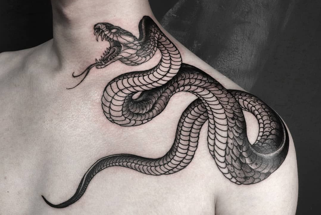 Bagia tattoo  Hình xăm rắn thể hiện sự ngang tàn và nổi  Facebook