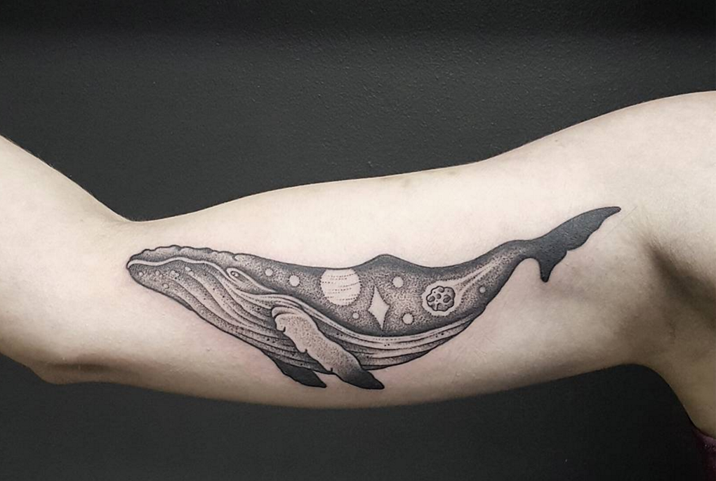 50 hình xăm cá voi cực chất cho nam giới  Whale Tattoo Designs  Tạp Chí Hình  Xăm