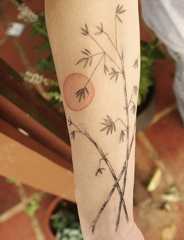 Hình xăm cây tre nhẹ nhàng tinh tế trên cánh tay