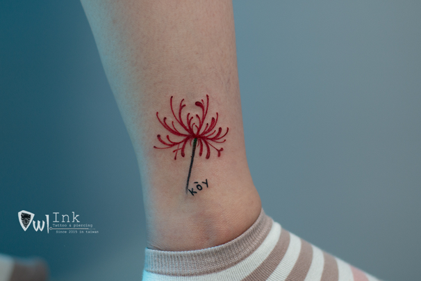 1079 ý nghĩa hình xăm hoa bỉ ngạn đẹp đỏ đen xanh mini ở tay chân  cho nam nữ cùng hàng triệu mẫu khác