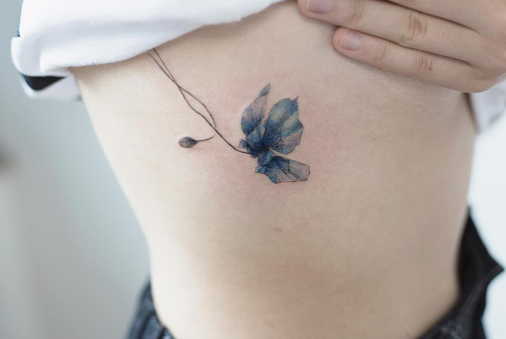 Lưu ly thảo  loài hoa tượng trưng cho sự bứt rứt không quên  Giải trí   Ink