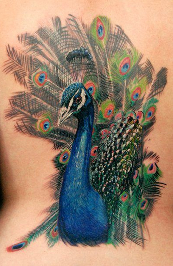 Hình Xăm Con Công Đẹp  Tattoo Con Chim Công Kín Lưng
