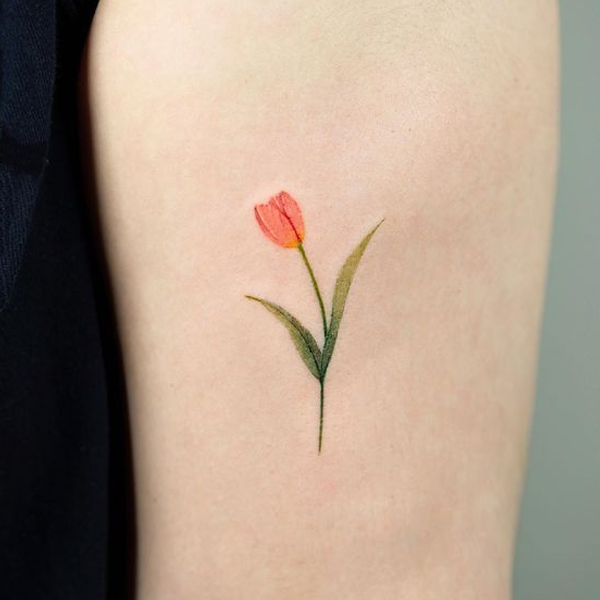 25 Mẫu Hình Xăm Hoa Tulip Đẹp Và Ý Nghĩa Đằng Sau Chúng - Owl Ink Studio - Xăm  Hình Nghệ Thuật